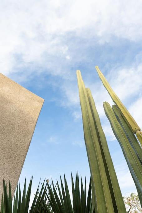 Desert Princess Villa Palm Springs Area Cathedral City Esterno foto