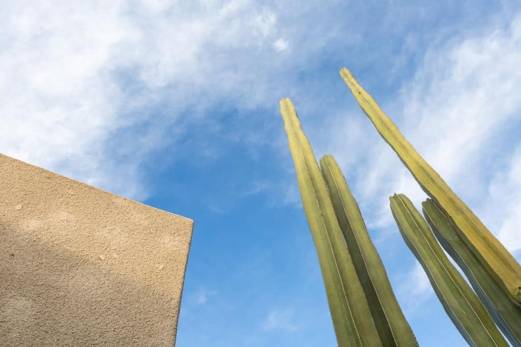 Desert Princess Villa Palm Springs Area Cathedral City Esterno foto